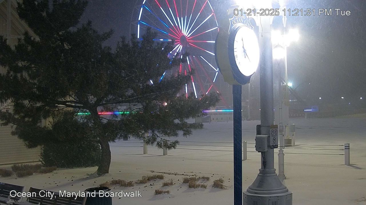 Ocean City Web Cam